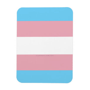SlipperyJoe's transgender pride flag visibility di Magnet