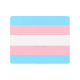 SlipperyJoe's transgender pride flag visibility di Metal Print
