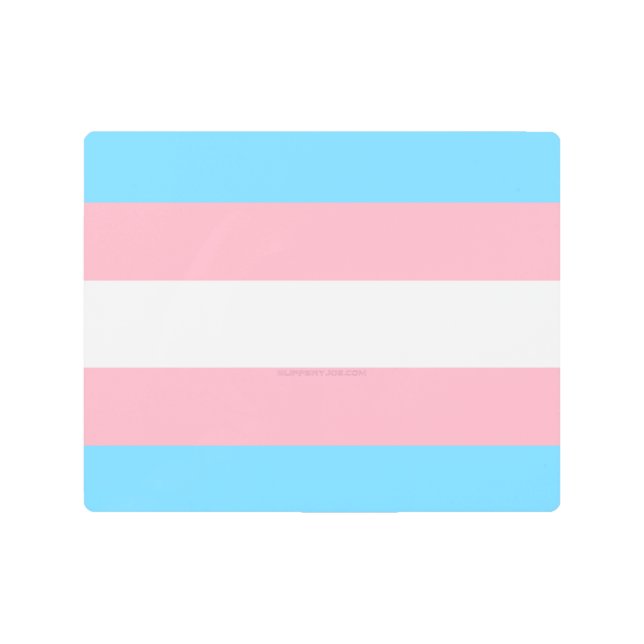 SlipperyJoe's transgender pride flag visibility di Metal Print (Front)