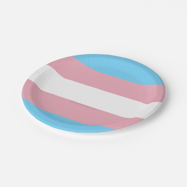 SlipperyJoe's transgender pride flag visibility di Paper Plates (Angled)