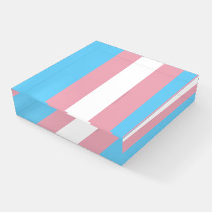SlipperyJoe's transgender pride flag visibility di Paperweight