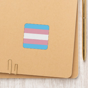 SlipperyJoe's transgender pride flag visibility di Patch
