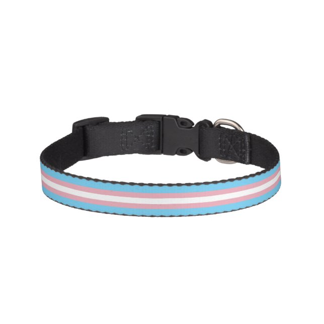 SlipperyJoe's transgender pride flag visibility di Pet Collar (Front)