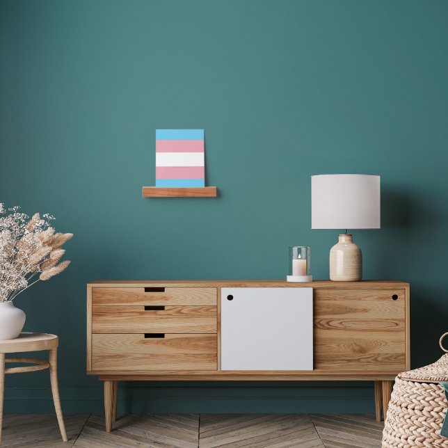 SlipperyJoe's transgender pride flag visibility di Picture Ledge (Living Room)