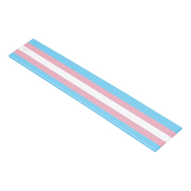 SlipperyJoe's transgender pride flag visibility di Ruler (Angled)