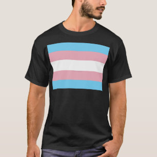 SlipperyJoe's transgender pride flag visibility di T-Shirt