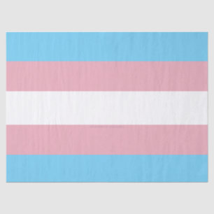 SlipperyJoe's transgender pride flag visibility di Tissue Paper