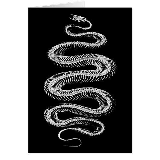 Slithering Snake Skeleton Cards (Front)