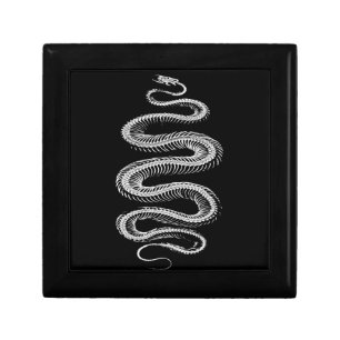 Slithering Snake Skeleton Jewelry Box