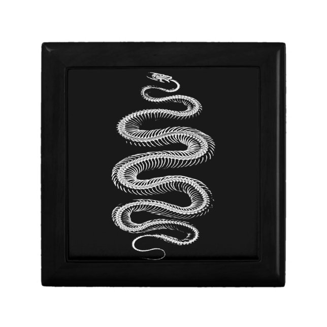 Slithering Snake Skeleton Jewelry Box (Front)