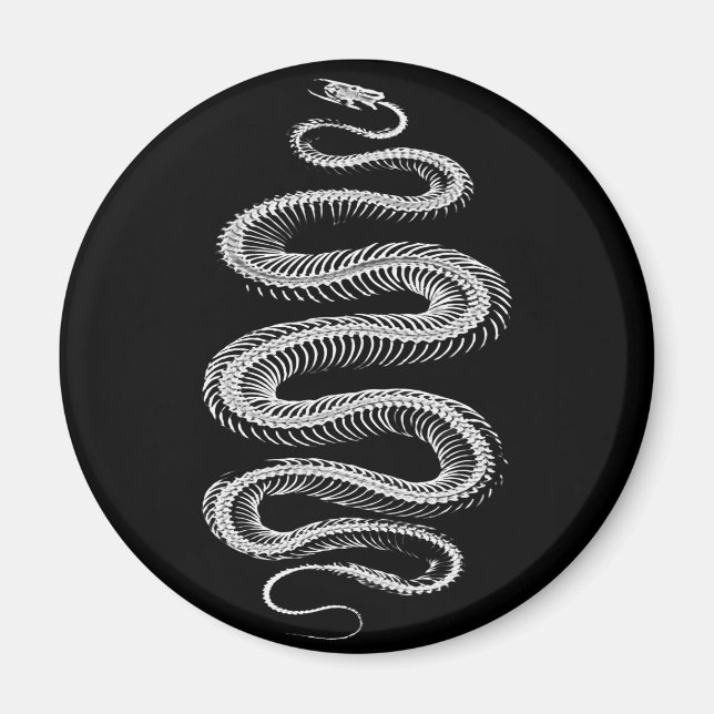 Slithering Snake Skeleton Magnet (Front)