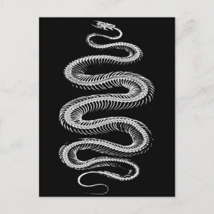 Slithering Snake Skeleton Postcard