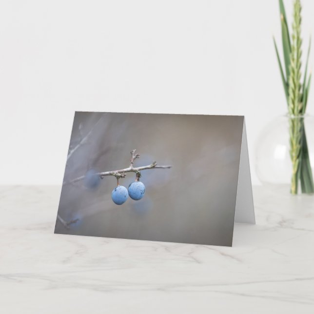 Sloe Berries Nature Photo Card (Front)