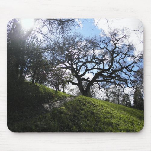Slope and Oak Mouse Pad
