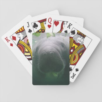 Sloppy Manatee Bicycle Playing Cards by shotwellphoto at Zazzle