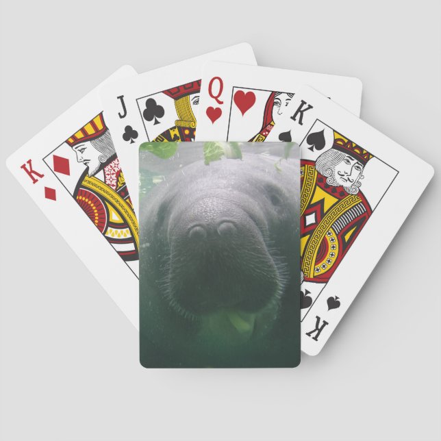 Sloppy Manatee Playing Cards (Back)