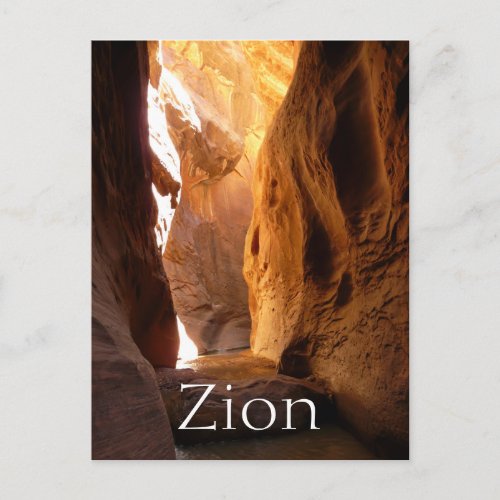 Slot Canyon Zion National Park Utah Postcard