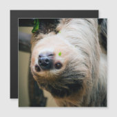 Sloth 001 (Front/Back)