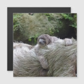 Sloth_20171104_by_JAMFoto (Front/Back)