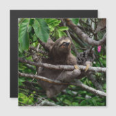 Sloth_20171106_by_JAMFoto (Front/Back)