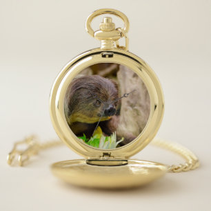 Sloth_20171108_by_JAMFoto Pocket Watch