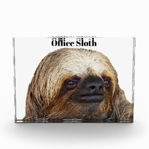 Sloth Acrylic Award
