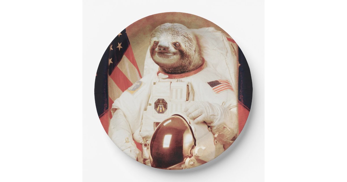 sloths in space