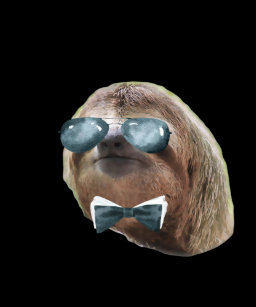 black sloth posters photo prints zazzle