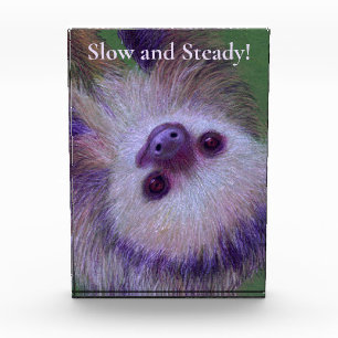Sloth Award
