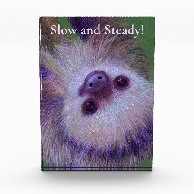 Sloth Award (Front)
