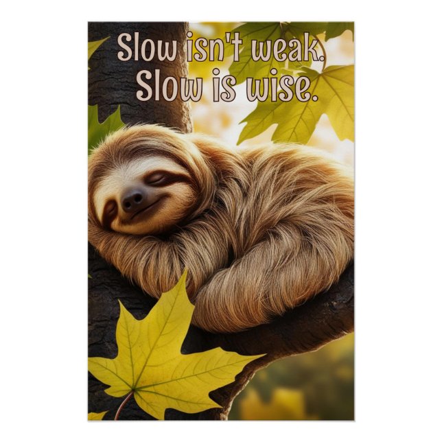 Sloth Baby Sleeping in tree quote  Poster (Front)