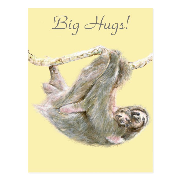 hug fun sloth