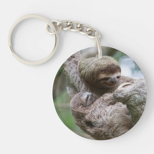 Sloth Baby with Mother Hanging from a Tree Keychain (Front)
