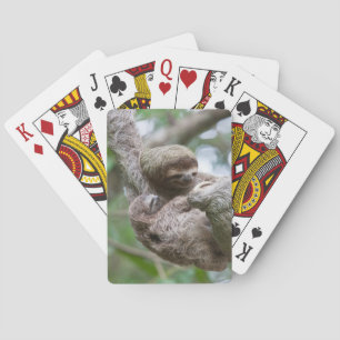 Sloth Baby with Mother Hanging from a Tree Poker Cards