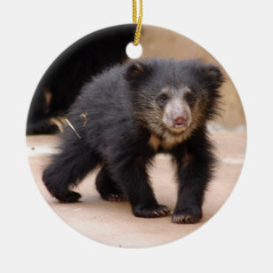 Sloth Bear Cub Christmas Ornament