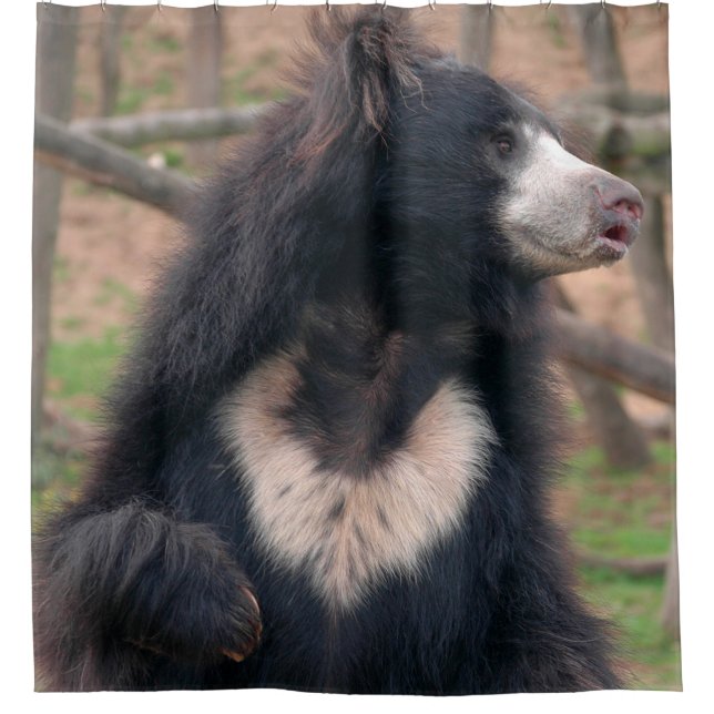 Sloth Bear Shower Curtain (Front)