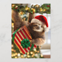 Sloth Bearing Gifts