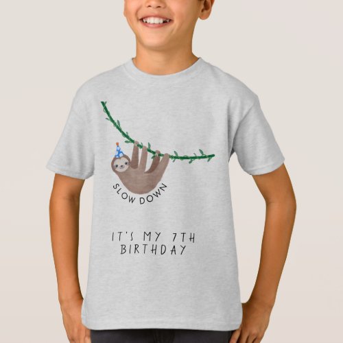 Sloth Birthday Party Hat T shirt 
