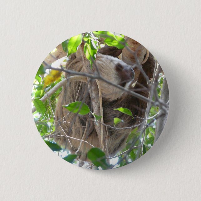 sloth button (Front)