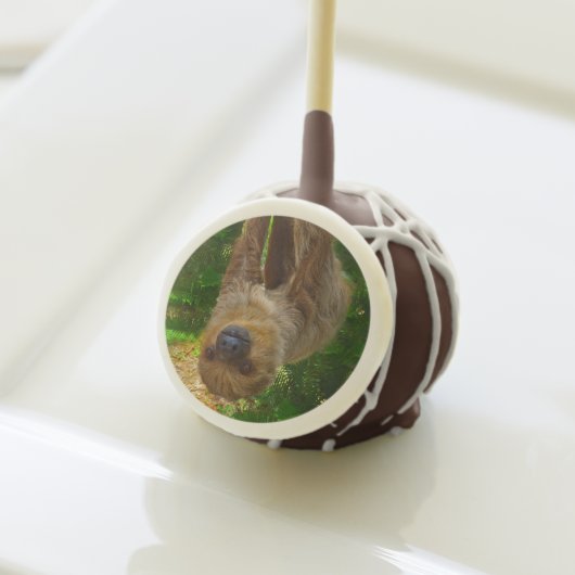 Sloth Cake Pops (Front Insitu)