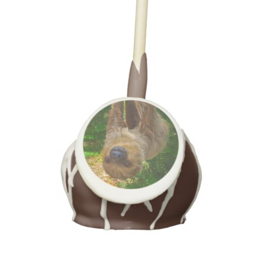Sloth Cake Pops (Front)