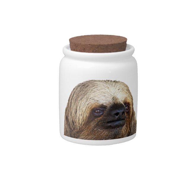 Sloth Candy Jar (Front)