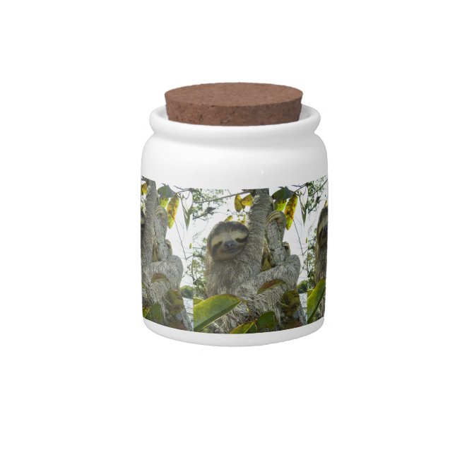 Sloth Candy Jar (Front)