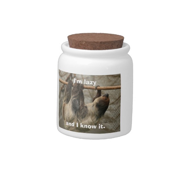Sloth Candy Jar (Left)