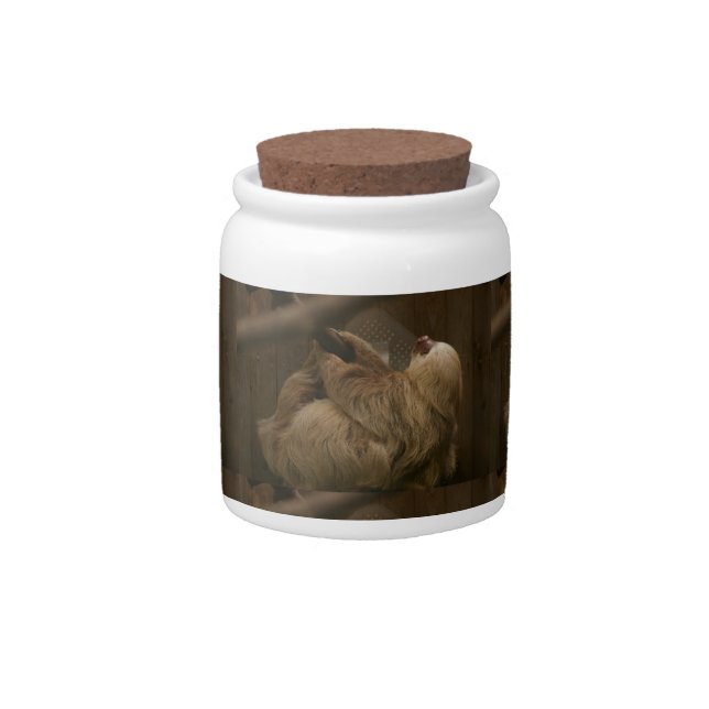 Sloth Candy Jar (Front)