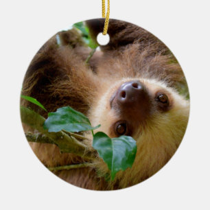 Sloth & Capybara Ceramic Ornament