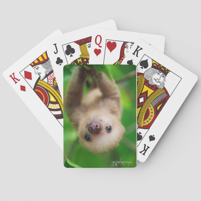 Sloth Card Deck (Back)