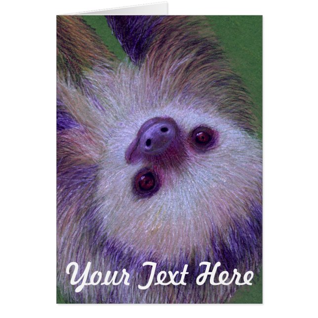 Sloth Cards (Front)