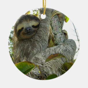 Sloth Ceramic Ornament
