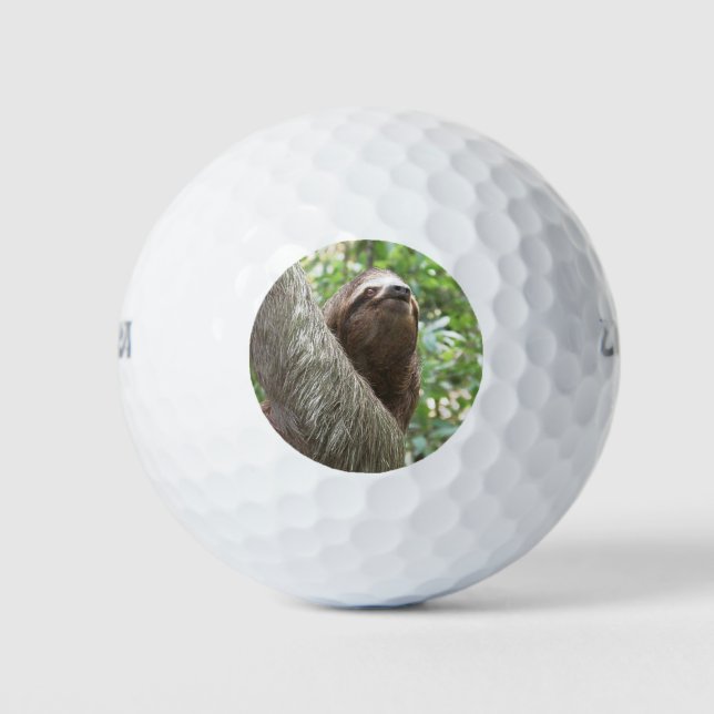 Sloth Climbing Golf Balls (Front)
